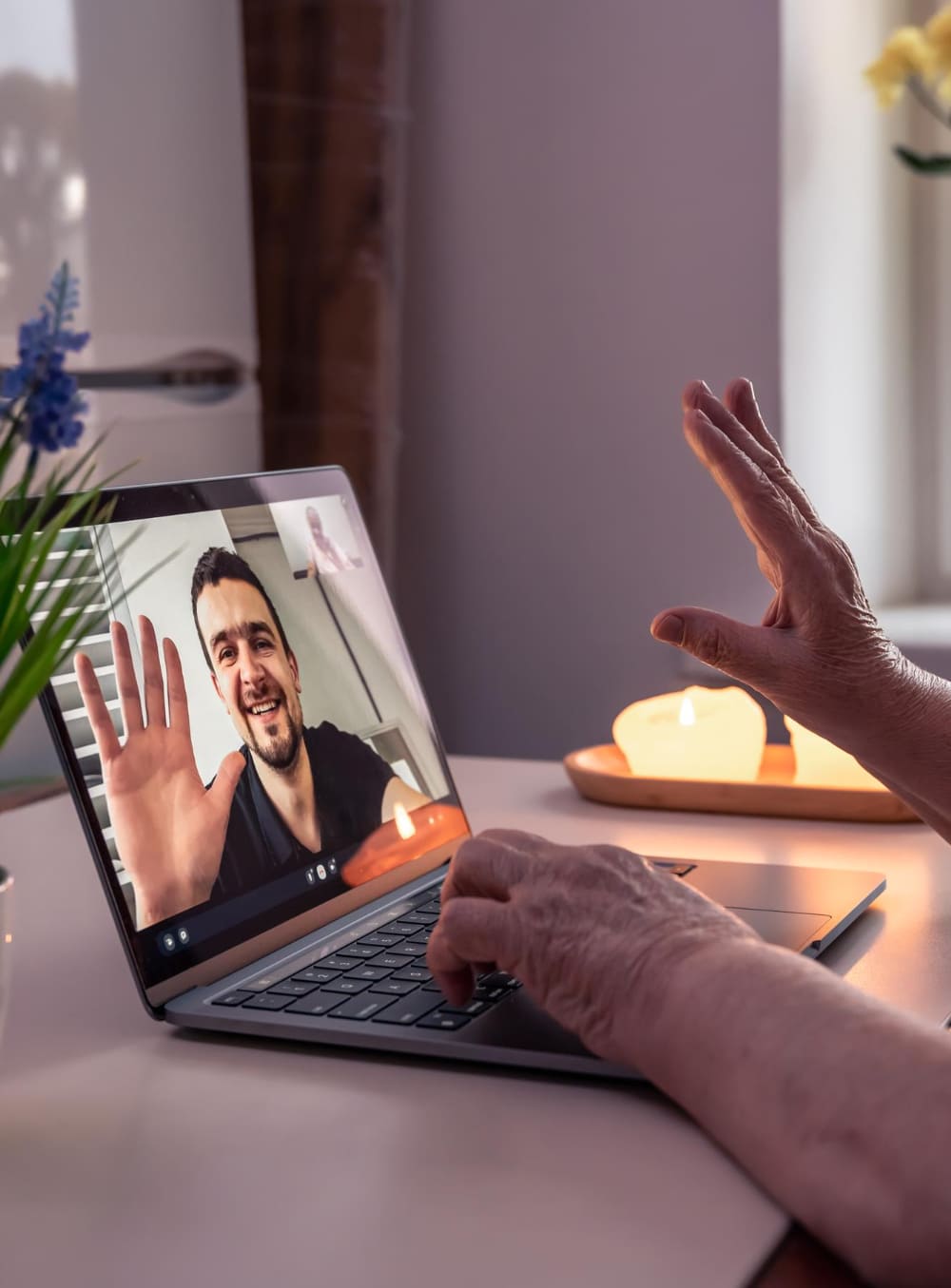 alayah emotional guidance bioneuroemocion online